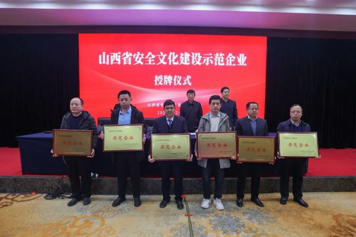晉南鋼鐵煉鐵廠獲評“山西省安全文化建設(shè)示范企業(yè)”引領(lǐng)行業(yè)安全發(fā)展